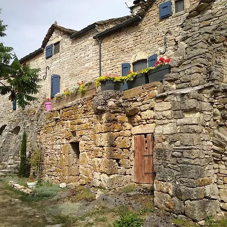 Maison Caussenarde De Caractere Marguerite Rose Saint-Georges-de-Levejac